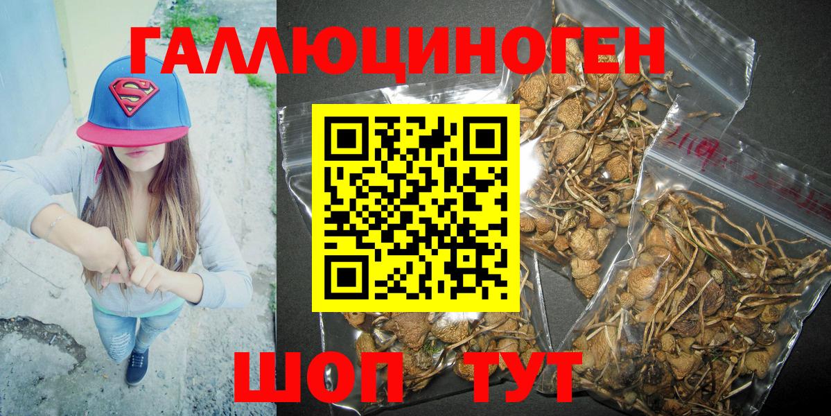 Галлюциногенные грибы прущие грибы Узловая
